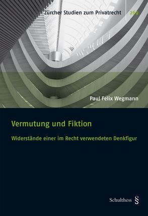 Vermutung und Fiktion von Wegmann,  Paul Felix