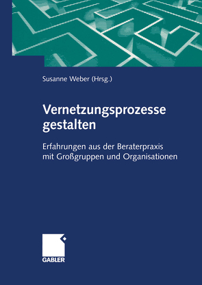 Vernetzungsprozesse gestalten von Weber,  Susanne Maria