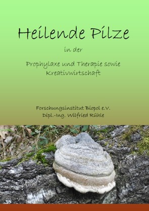 Veröffentlichungen des Forschungsinstitutes Biopol / Naturwirkstoffe für die Prophylaxe und Therapie sowie Kreativwirtschaft von Rühle,  Wilfried