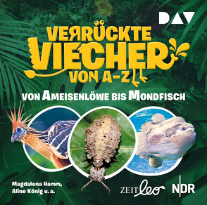 Verrückte Viecher von A bis Z – Teil 1: Von Ameisenlöwe bis Mondfisch von Hamm,  Magdalena, König,  Aline