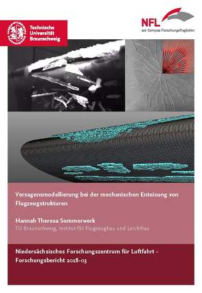 Versagensmodellierung bei der mechanischen Enteisung von Flugzeugstrukturen von Sommerwerk,  Hannah Theresa