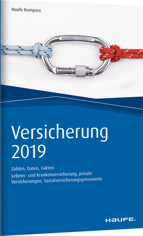 Versicherung 2019 von Fischer,  Robert