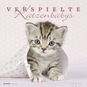 Verspielte Katzenbabys 2019 von ALPHA EDITION, Eckelt,  Natalie