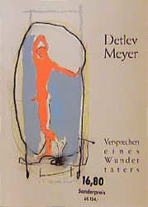 Versprechen eines Wundertäters / Versprechen eines Wundertäters von Meyer,  Detlev, Steinert,  Hannes