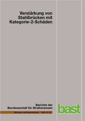 Verstärkung von Stahlbrücken mit Kategorie-2-Schäden von Hubmann,  Michael, Kuhlmann,  Ulrike