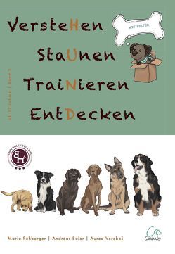 VersteHen,StaUnen,TraiNieren,EntDecken von Baier,  Andreas, Rehberger,  Maria, Verebes,  Aurea