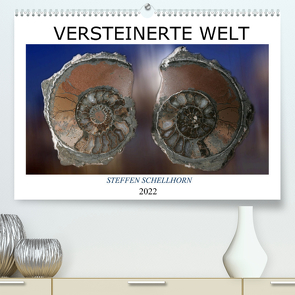 Versteinerte Welt (Premium, hochwertiger DIN A2 Wandkalender 2022, Kunstdruck in Hochglanz) von Schellhorn,  Steffen