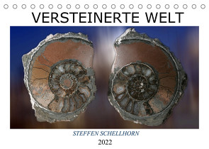 Versteinerte Welt (Tischkalender 2022 DIN A5 quer) von Schellhorn,  Steffen