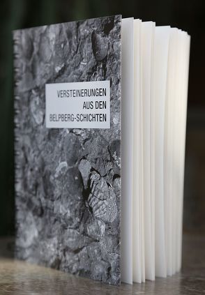 Versteinerungen aus den Belpberg-Schichten von Pfister,  Thérèse, Wegmüller,  Urs