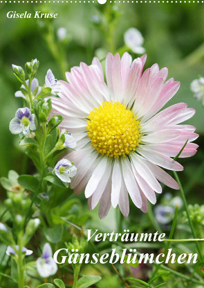 Verträumte Gänseblümchen (Wandkalender 2023 DIN A2 hoch) von Kruse,  Gisela