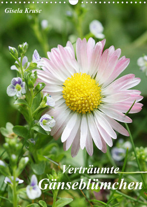 Verträumte Gänseblümchen (Wandkalender 2023 DIN A3 hoch) von Kruse,  Gisela