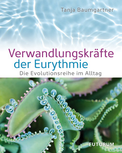 Verwandlungskräfte der Eurythmie von Baumgartner,  Tanja, Bolliger,  Niklaus, Grundmann,  Eckart, Gutberlet,  Wolfgang, Ramp,  Barbara, Schmidt,  Patrick, Zippel,  Jürgen