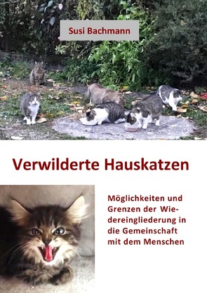 Verwilderte Hauskatzen von Bachmann,  Susi