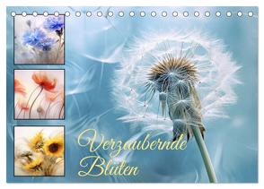 Verzaubernde Blüten (Tischkalender 2024 DIN A5 quer), CALVENDO Monatskalender von Illgen,  Cathrin