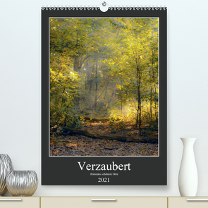 Verzaubert. Bremens schönste Orte (Premium, hochwertiger DIN A2 Wandkalender 2021, Kunstdruck in Hochglanz) von Tjarks,  Kathleen