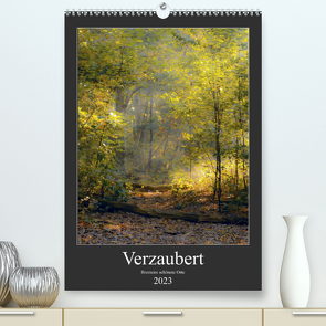 Verzaubert. Bremens schönste Orte (Premium, hochwertiger DIN A2 Wandkalender 2023, Kunstdruck in Hochglanz) von Tjarks,  Kathleen