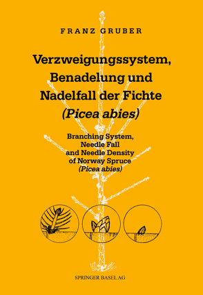 Verzweigungssystem, Benadelung und Nadelfall der Fichte (Picea abies) von 3, Gruber