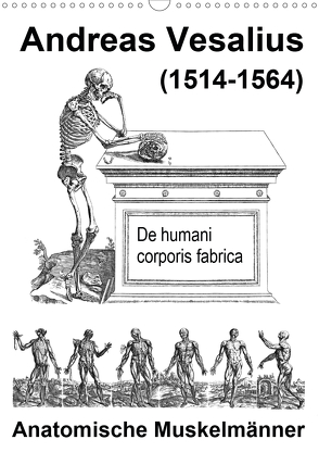 Vesalius anatomische Muskelmänner (Wandkalender 2021 DIN A3 hoch) von Liepke,  Claus