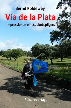 Via de la Plata – Impressionen eines Jakobspilgers von Koldewey,  Bernd