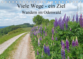 Viele Wege – ein Ziel Wandern im Odenwald (Tischkalender 2021 DIN A5 quer) von Andersen,  Ilona