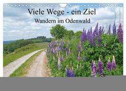 Viele Wege – ein Ziel Wandern im Odenwald (Wandkalender 2024 DIN A4 quer), CALVENDO Monatskalender von Andersen,  Ilona