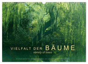 Vielfalt der Bäume – variety of trees (Wandkalender 2024 DIN A3 quer), CALVENDO Monatskalender von Lenferink,  Franziska