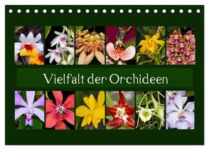 Vielfalt der Orchideen (Tischkalender 2024 DIN A5 quer), CALVENDO Monatskalender von Schulz,  Eerika