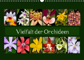 Vielfalt der Orchideen (Wandkalender 2023 DIN A3 quer) von Schulz,  Eerika