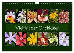 Vielfalt der Orchideen (Wandkalender 2024 DIN A4 quer), CALVENDO Monatskalender von Schulz,  Eerika