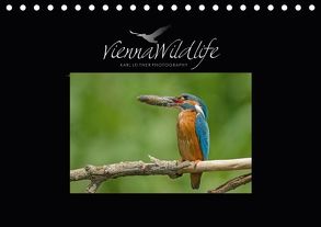 Vienna Wildlife 2018 (Tischkalender 2018 DIN A5 quer) von Wildlife/Karl Leitner Photography,  Vienna