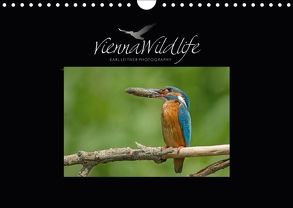 Vienna Wildlife 2018 (Wandkalender 2018 DIN A4 quer) von Wildlife/Karl Leitner Photography,  Vienna