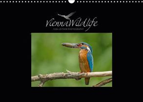 Vienna Wildlife 2019 (Wandkalender 2019 DIN A3 quer) von Wildlife/Karl Leitner Photography,  Vienna