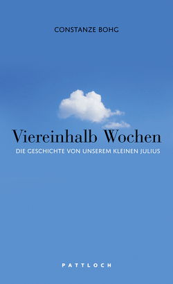 Viereinhalb Wochen von Bohg,  Constanze, Lessing,  Lukas