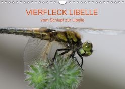 VIERFLECK LIBELLE – vom Schlupf zur Libelle (Wandkalender 2018 DIN A4 quer) von Brix - Studio Brix,  Matthias