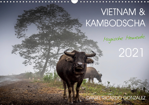 Vietnam und Kambodscha – Magische Momente. (Wandkalender 2021 DIN A3 quer) von Ricardo González Photography,  Daniel