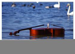VIOLONCELLO – atemberaubende Cellomotive (Wandkalender 2024 DIN A2 quer), CALVENDO Monatskalender von Hoffmann,  Daniel