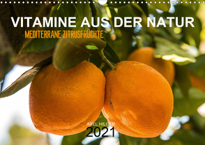 VITAMINE AUS DER NATUR (Wandkalender 2021 DIN A3 quer) von Hilger,  Axel