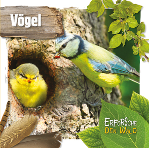 Vögel von Twiddy,  Robin