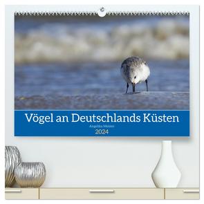 Vögel an Deutschlands Küsten (hochwertiger Premium Wandkalender 2024 DIN A2 quer), Kunstdruck in Hochglanz von Meister,  Angelika