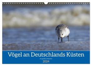 Vögel an Deutschlands Küsten (Wandkalender 2024 DIN A3 quer), CALVENDO Monatskalender von Meister,  Angelika