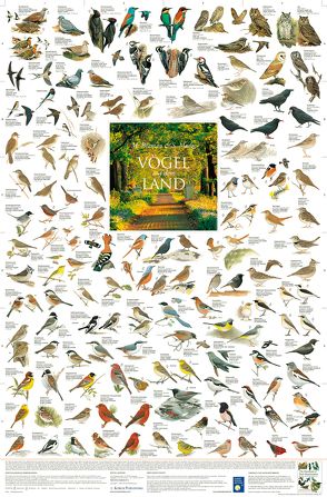 Vögel auf dem Land von Welter-Schultes,  F W