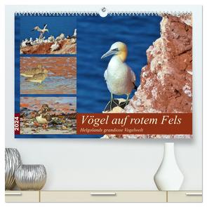 Vögel auf rotem Fels – Helgolands grandiose Vogelwelt (hochwertiger Premium Wandkalender 2024 DIN A2 quer), Kunstdruck in Hochglanz von Schaack,  René