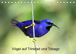 Vögel auf Trinidad und Tobago (Tischkalender 2022 DIN A5 quer) von W. Bruechle,  Dr., Weiterstadt