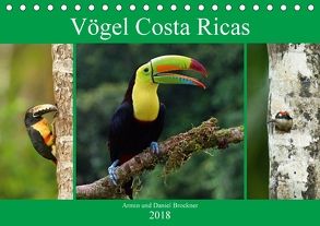 Vögel Costa Ricas (Tischkalender 2018 DIN A5 quer) von und Daniel Brockner,  Armin