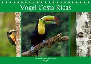 Vögel Costa Ricas (Tischkalender 2019 DIN A5 quer) von und Daniel Brockner,  Armin