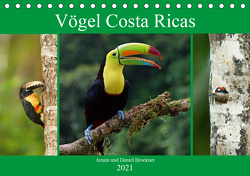 Vögel Costa Ricas (Tischkalender 2021 DIN A5 quer) von und Daniel Brockner,  Armin