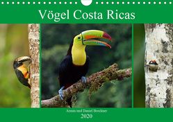 Vögel Costa Ricas (Wandkalender 2020 DIN A4 quer) von und Daniel Brockner,  Armin