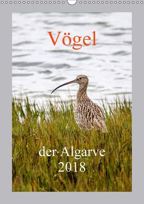 Vögel der Algarve 2018 (Wandkalender 2018 DIN A3 hoch) von Liongamer1