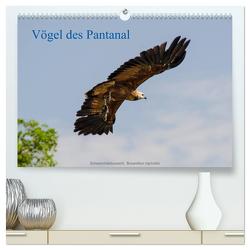 Vögel des Pantanal (hochwertiger Premium Wandkalender 2024 DIN A2 quer), Kunstdruck in Hochglanz von Woehlke,  Juergen