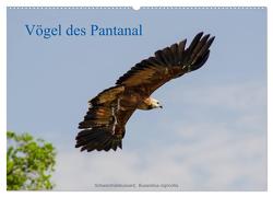 Vögel des Pantanal (Wandkalender 2024 DIN A2 quer), CALVENDO Monatskalender von Woehlke,  Juergen